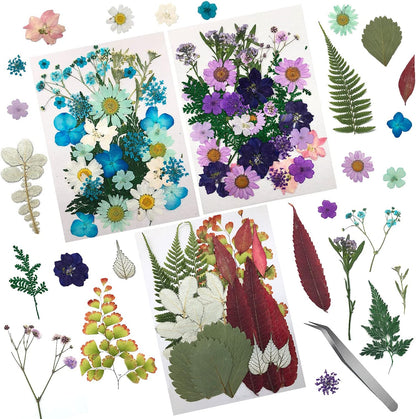 90 Pcs Real Dried Pressed Flowers and Leaves Natural Dried Petals for Candle Resin Jewelry Soap Nail Pendant Phone Case Crafts Making Floral Decors Scrapbooking DIY(Blue, Purple, Pink, Green)