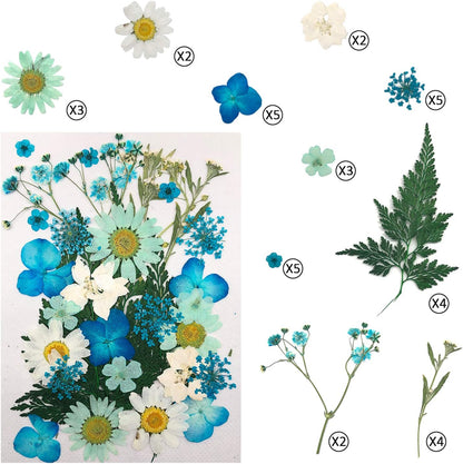 90 Pcs Real Dried Pressed Flowers and Leaves Natural Dried Petals for Candle Resin Jewelry Soap Nail Pendant Phone Case Crafts Making Floral Decors Scrapbooking DIY(Blue, Purple, Pink, Green)