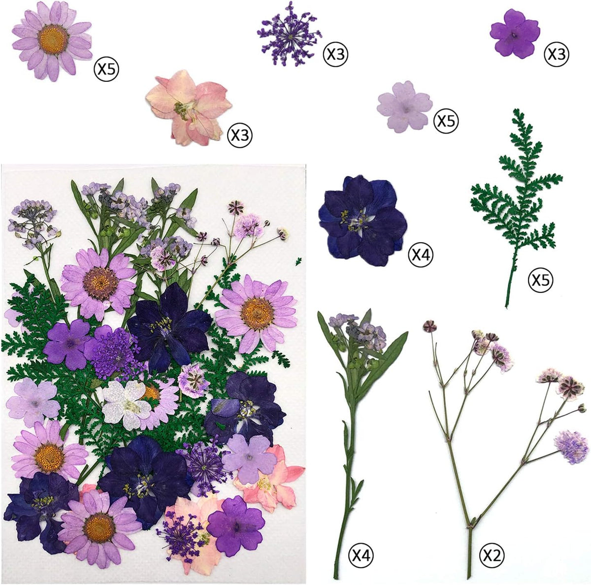 90 Pcs Real Dried Pressed Flowers and Leaves Natural Dried Petals for Candle Resin Jewelry Soap Nail Pendant Phone Case Crafts Making Floral Decors Scrapbooking DIY(Blue, Purple, Pink, Green)