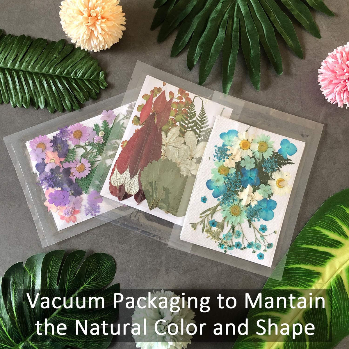 90 Pcs Real Dried Pressed Flowers and Leaves Natural Dried Petals for Candle Resin Jewelry Soap Nail Pendant Phone Case Crafts Making Floral Decors Scrapbooking DIY(Blue, Purple, Pink, Green)