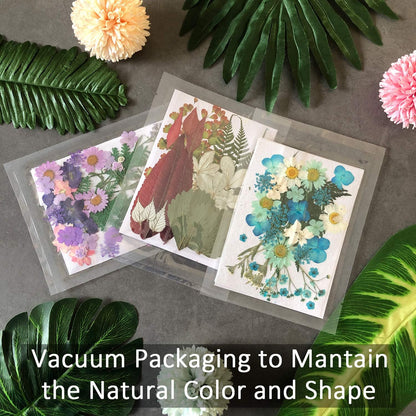 90 Pcs Real Dried Pressed Flowers and Leaves Natural Dried Petals for Candle Resin Jewelry Soap Nail Pendant Phone Case Crafts Making Floral Decors Scrapbooking DIY(Blue, Purple, Pink, Green)
