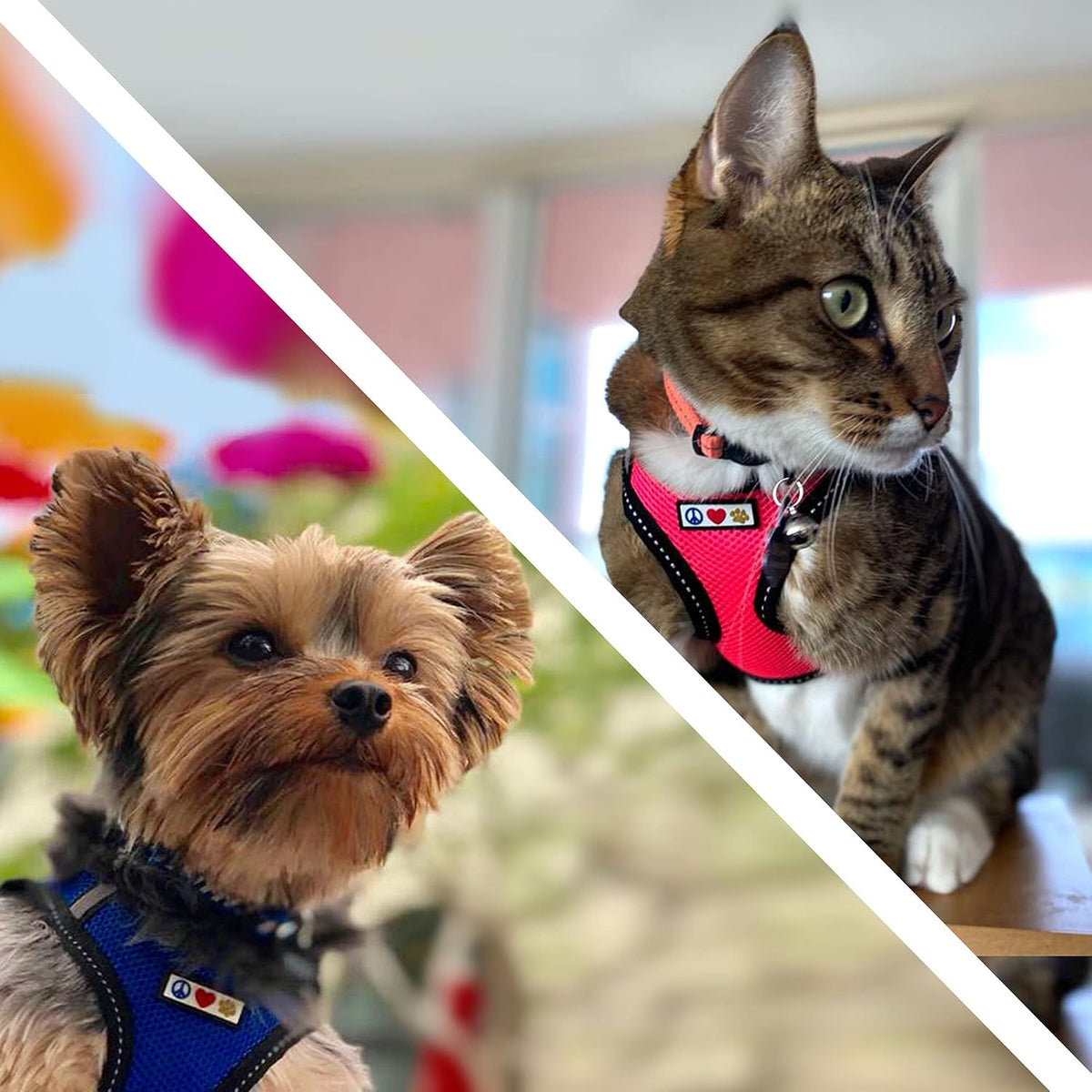 Dog Vest Harness Made with Breathable Air Mesh | All Weather Vest Harness for Extra Extra Small Puppies and Cats with Quick-Release Buckle - Extra Extra Small Pink Camo Mesh Dog Harness