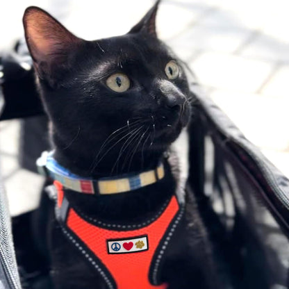 Dog Vest Harness Made with Breathable Air Mesh | All Weather Vest Harness for Extra Extra Small Puppies and Cats with Quick-Release Buckle - Extra Extra Small Pink Camo Mesh Dog Harness