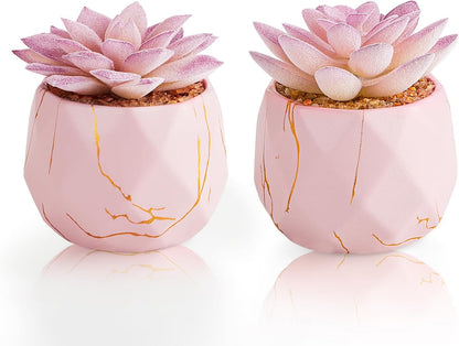 Artificial Succulent Plants in 2 Pink Ceramic Pots, Cute Fake Plants for Vanity Decor,Office, Desk, Bathroom, Kitchen,Bedroom, Shelves Decor for Women,Girls Gift