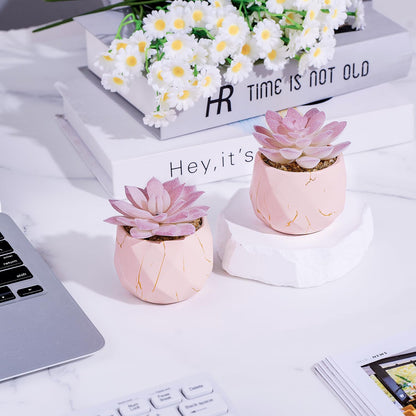 Artificial Succulent Plants in 2 Pink Ceramic Pots, Cute Fake Plants for Vanity Decor,Office, Desk, Bathroom, Kitchen,Bedroom, Shelves Decor for Women,Girls Gift