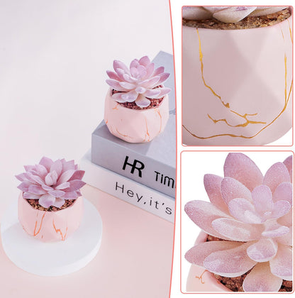 Artificial Succulent Plants in 2 Pink Ceramic Pots, Cute Fake Plants for Vanity Decor,Office, Desk, Bathroom, Kitchen,Bedroom, Shelves Decor for Women,Girls Gift