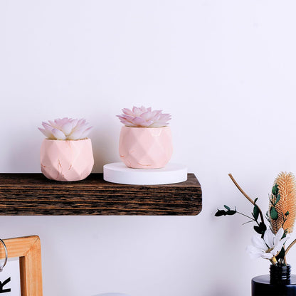 Artificial Succulent Plants in 2 Pink Ceramic Pots, Cute Fake Plants for Vanity Decor,Office, Desk, Bathroom, Kitchen,Bedroom, Shelves Decor for Women,Girls Gift