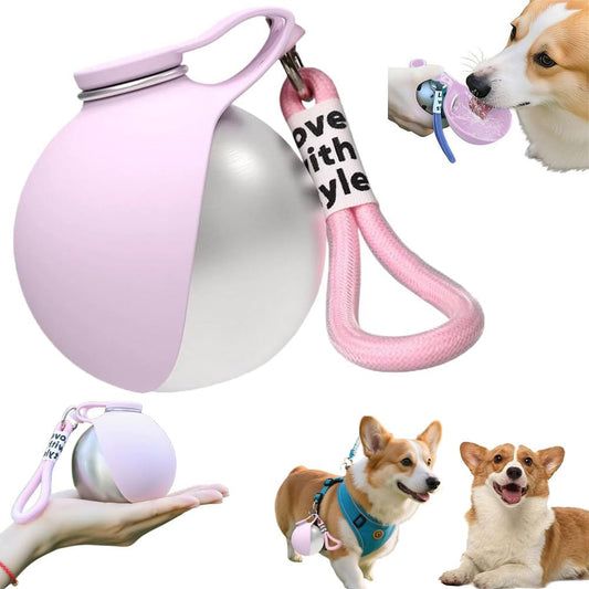 Portable Dog Water Bottle - Foldable Pet Water Bottle for Dogs,2 in 1 Stainless Steel DogWater Dispenser Portable for Small Dog Walking, Hiking & Travel, Leak-Proof & Spill Proof Compact Dogs Travel