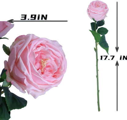 6Pcs Pink Artificial Roses, Real Touch Silk Austin Rose Bouquet, Fake Peony Flowers for Wedding & Home Decor（Pink