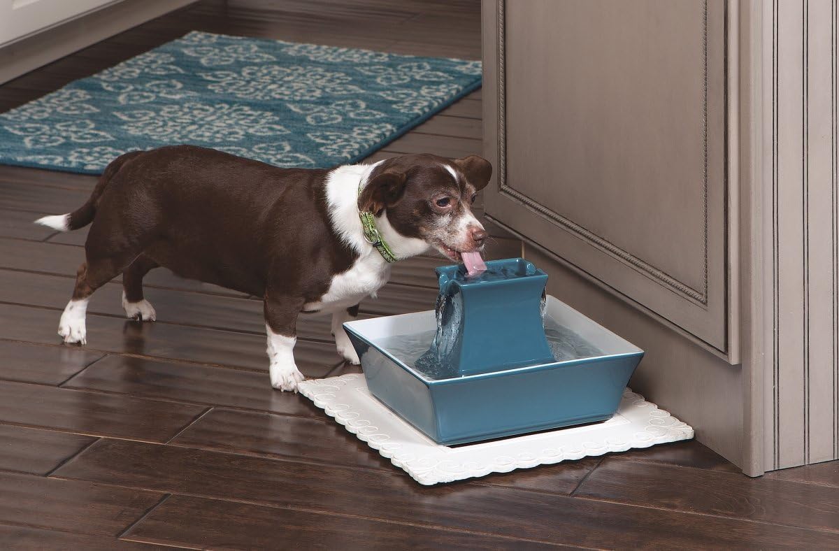 PetSafe Drinkwell Pagoda Pet Fountain,70 oz/ 2L Capacity,Elevated Indoor Ceramic Cat Fountain, 2 Levels of Free-Falling Streams, Included Carbon & Foam Filter Provide Fresh Water with Every Sip, Blue