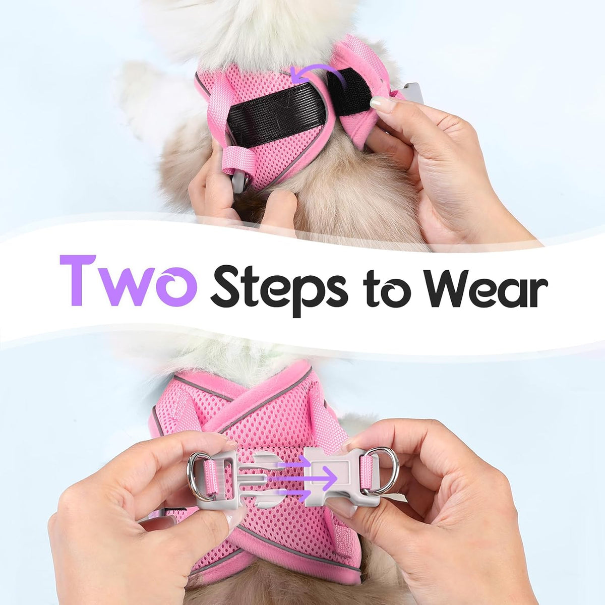 Cat Harness and Leash Set, Easy-on Vest, Purple & Pink
