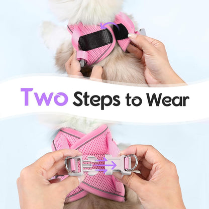 Cat Harness and Leash Set, Easy-on Vest, Purple & Pink