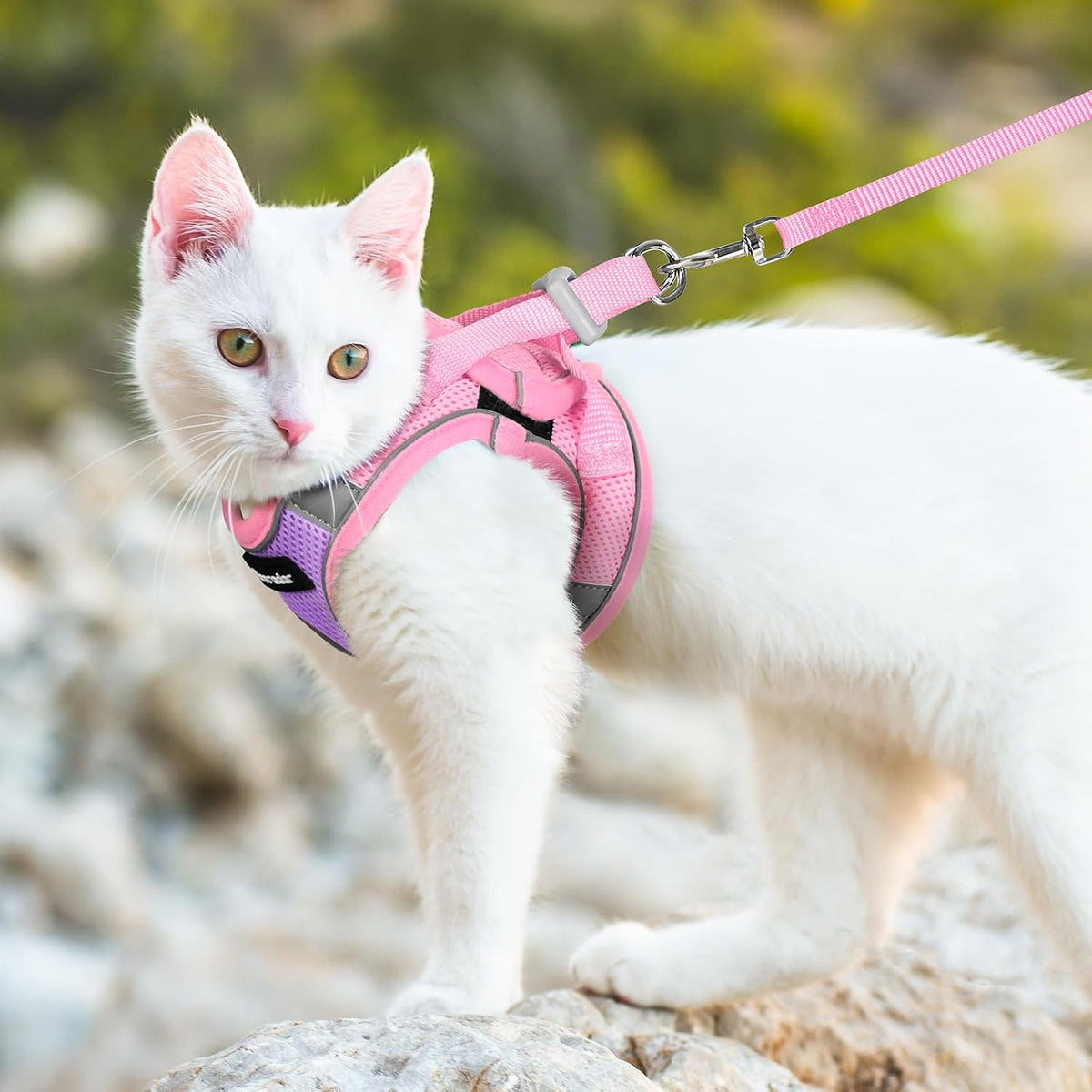 Cat Harness and Leash Set, Easy-on Vest, Purple & Pink