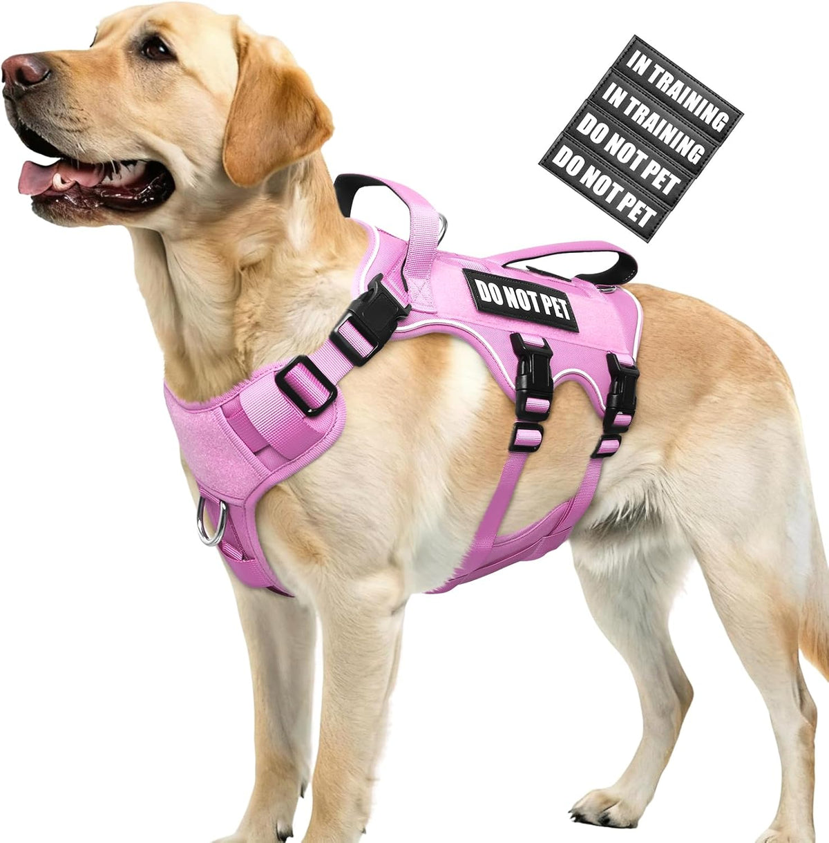 Escape Proof Dog Harness with Double Handle+4 Removable Patches