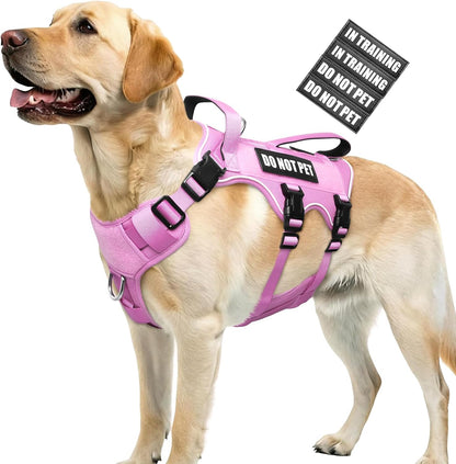 Escape Proof Dog Harness with Double Handle+4 Removable Patches
