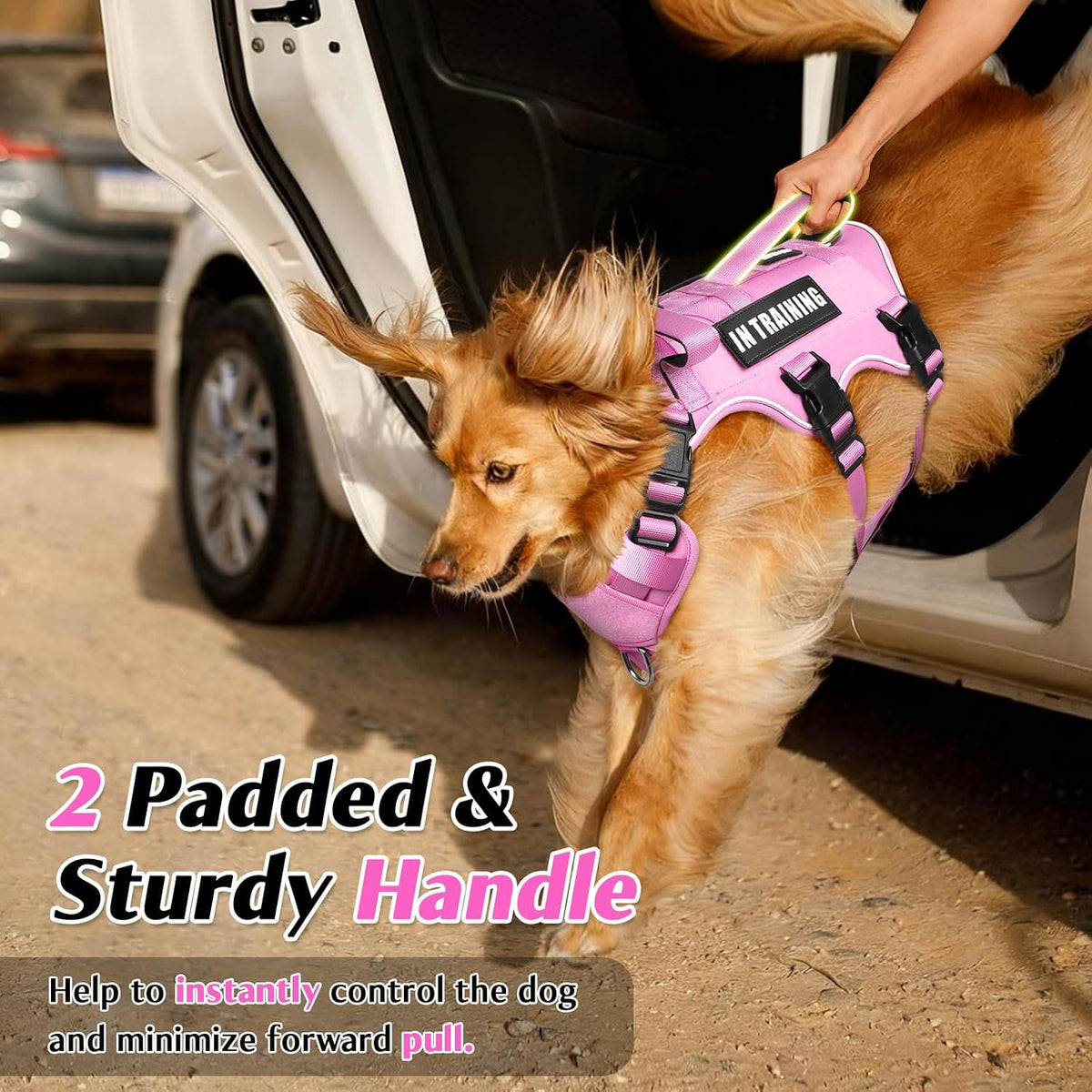 Escape Proof Dog Harness with Double Handle+4 Removable Patches