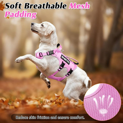 Escape Proof Dog Harness with Double Handle+4 Removable Patches