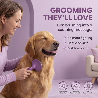 Round Bristle Pet Brush for Dogs and Cats - Soft Dog Brush for Grooming Short or Long Hair - Gentle Tool for Sensitive Skin Removes Dander, Dirt, and Detangles (Purple)