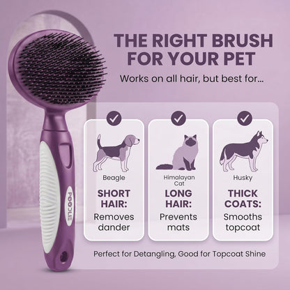 Round Bristle Pet Brush for Dogs and Cats - Soft Dog Brush for Grooming Short or Long Hair - Gentle Tool for Sensitive Skin Removes Dander, Dirt, and Detangles (Purple)