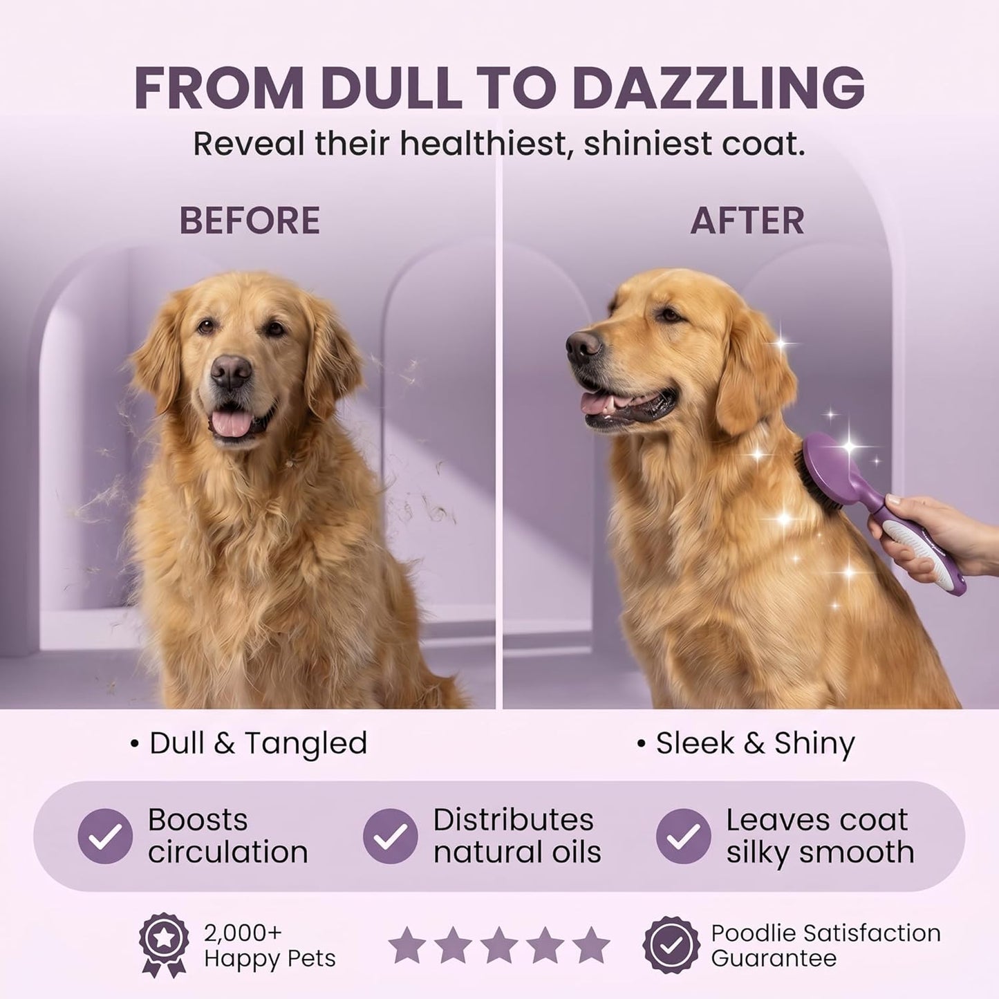 Round Bristle Pet Brush for Dogs and Cats - Soft Dog Brush for Grooming Short or Long Hair - Gentle Tool for Sensitive Skin Removes Dander, Dirt, and Detangles (Purple)