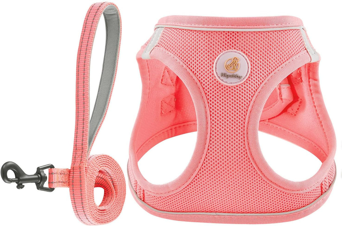 Dog Harness and Leash Set, No Pull Soft Mesh Puppy Harness for Small Medium Dogs, Cats - Step in Reflective Breathable Lightweight Vest Harness for Walking, Training - Pink, S