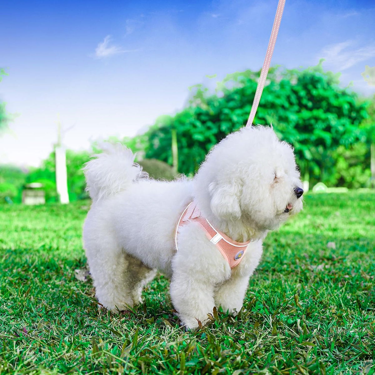 Dog Harness and Leash Set, No Pull Soft Mesh Puppy Harness for Small Medium Dogs, Cats - Step in Reflective Breathable Lightweight Vest Harness for Walking, Training - Pink, S