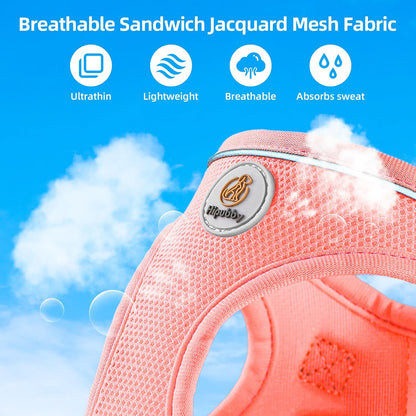 Dog Harness and Leash Set, No Pull Soft Mesh Puppy Harness for Small Medium Dogs, Cats - Step in Reflective Breathable Lightweight Vest Harness for Walking, Training - Pink, S