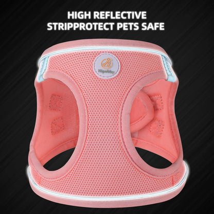 Dog Harness and Leash Set, No Pull Soft Mesh Puppy Harness for Small Medium Dogs, Cats - Step in Reflective Breathable Lightweight Vest Harness for Walking, Training - Pink, S