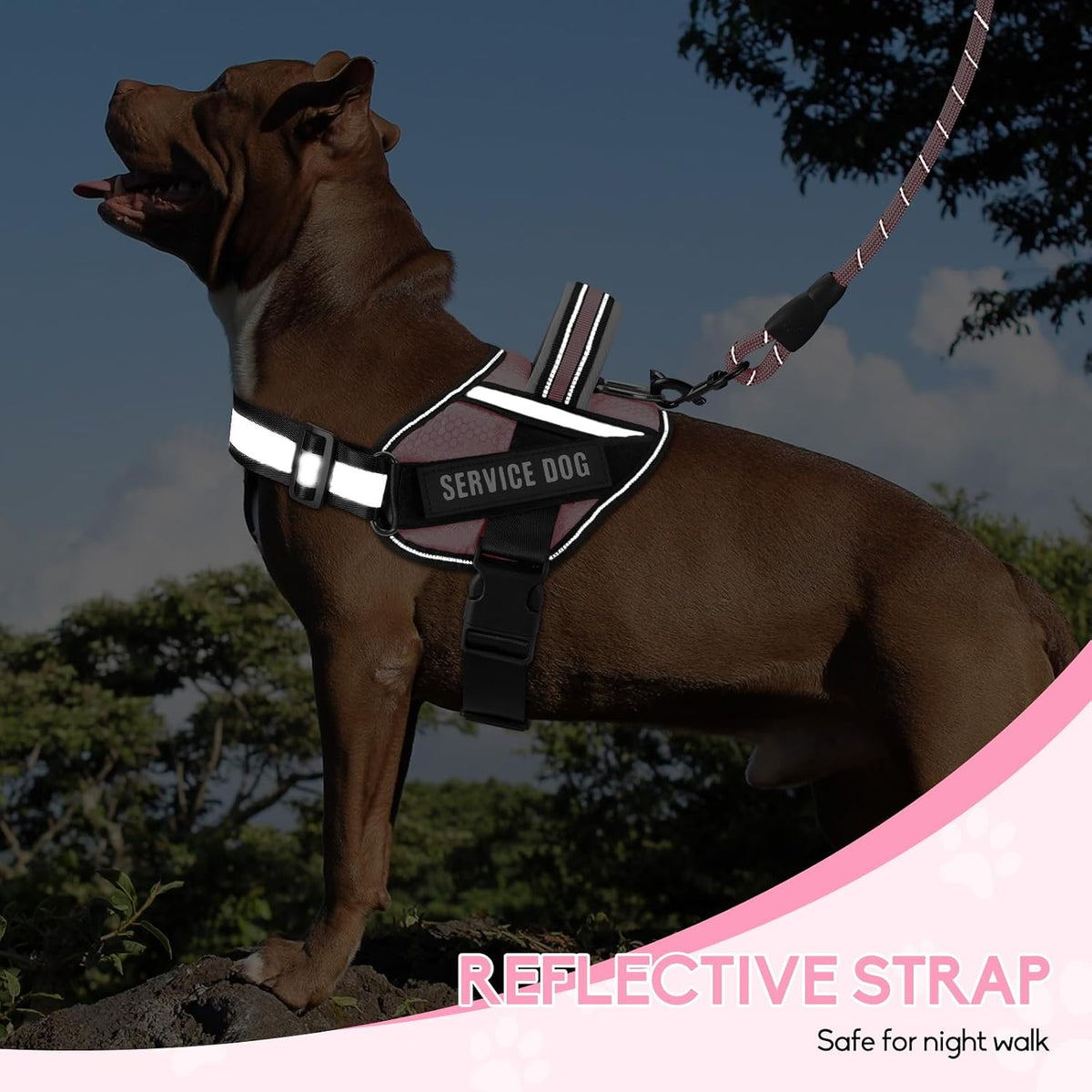 Service Dog Vest Harness and Leash Set, in Training Dog Harness with 10 Dog Patches, Reflective Dog Leash with Soft Padded Handle for Small, Medium, Large, and Extra-Large Dogs(Pink,S)