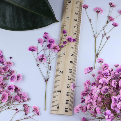 50 Pcs Pink Baby's Breath Real Dried Pressed Flowers.Vacuum-Packed Mini DriedBaby's Breath Flowe Specimen +1 Tweezers, for Resin Art /DIY Making Wedding Card/ Home Party Decor.