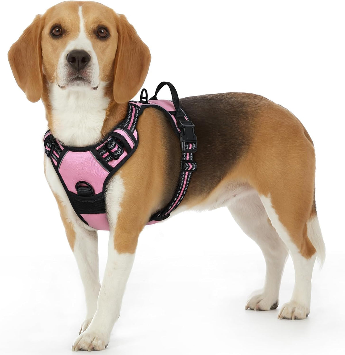 Eagloo Dog Harness for Small Dogs, No Pull Pet Vest with 2 Leash Clips