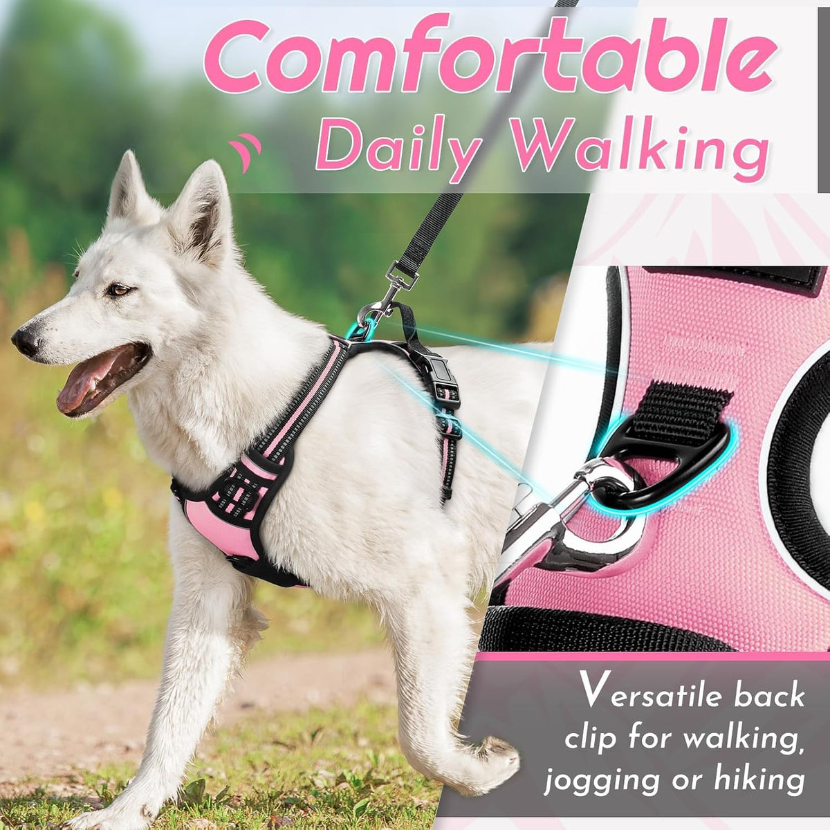 Eagloo Dog Harness for Small Dogs, No Pull Pet Vest with 2 Leash Clips
