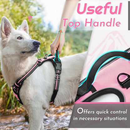 Eagloo Dog Harness for Small Dogs, No Pull Pet Vest with 2 Leash Clips