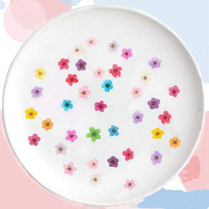 Pressed Flower for Resin Small Plum Blossom Narcissus, Dried Flower, Real Flower, Nail Flower Material, Glue Drop, Mobile Phone case, Hand Made 100pcs/pack (Pink)