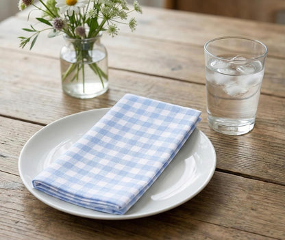PurpleEssences Mini Gingham Check Dinner Cloth Napkin - Spring Easter Summer - Mitered Corners - 18x18 Inch - Set of 12-100% Cotton - Reusable Washable - Sky Blue and White
