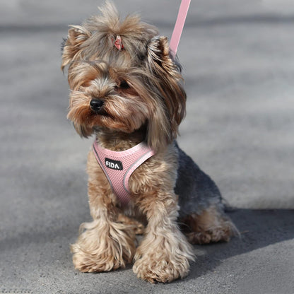 Comfy Dog Harness with Leash, Cat Vest Harness Escape Proof, Breathable Lightweight Soft Mesh, Adjustable Reflective Step-in Harness for Puppy Toy Breeds & Extra-Small Pet (XXS, Pink)