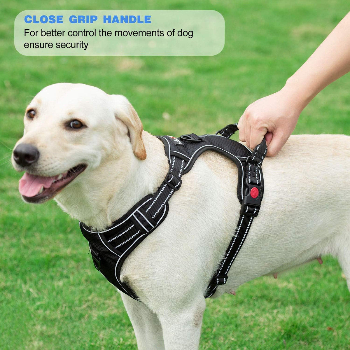 No Pull Dog Harness Adjustable Reflective Oxford Easy Control Medium Large Dog Harness with A Free Heavy Duty 5ft Dog Leash, Pink, XL