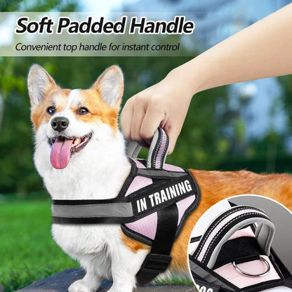 Dog Vest Harness and Patches Set, in Training Service Dog Harness with 10 Dog Patches, Reflective Dog Vest with Handle for Small, Medium, Large, and Extra-Large Dogs