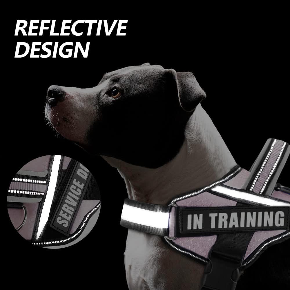 Dog Vest Harness and Patches Set, in Training Service Dog Harness with 10 Dog Patches, Reflective Dog Vest with Handle for Small, Medium, Large, and Extra-Large Dogs