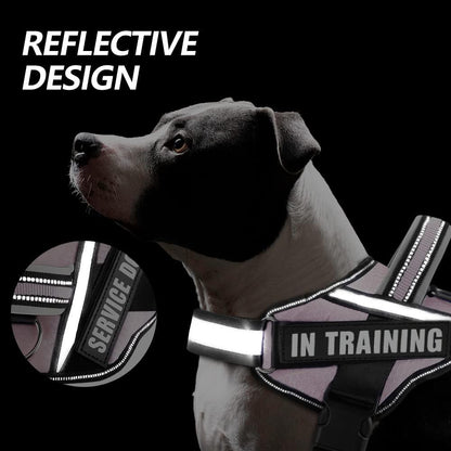 Dog Vest Harness and Patches Set, in Training Service Dog Harness with 10 Dog Patches, Reflective Dog Vest with Handle for Small, Medium, Large, and Extra-Large Dogs