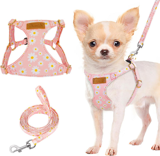 Lukovee No Pull Puppy Harness and Leash Set - Adjustable Lightweight Soft Suede Pet Harness Vest, with Snap Buckle & 51in Leash for Small Medium Dogs (Pink-XS)