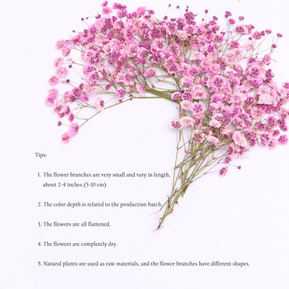 30 Pcs Pink Baby's Breath Real Dried Pressed Flowers.Vacuum-Packed Mini DriedBaby's Breath Flowe Specimen +1 Tweezers, for Resin Art /DIY Making Wedding Card/ Home Party Decor.