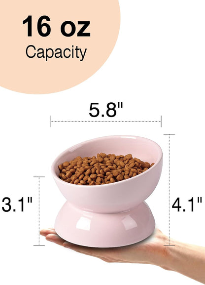 Cat Water Bowl, 16 OZ Ceramic Elevated Cat Bowls, 15° Tilted and Raised Pet Food Dish, Anti Vomiting Protect Pets' Spines and Whisker Fatigue