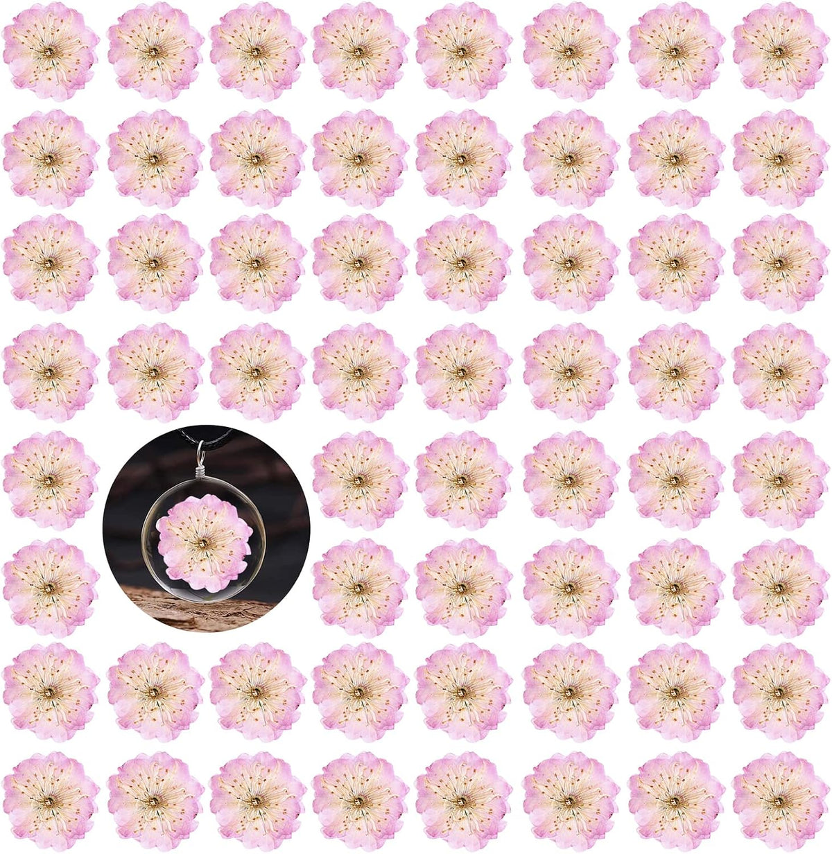 60PCS Pink Dried Pressed Cherry Flowers, Real Natural Dried Pressed Cherry Blossom Flowers, Dry Flowers for Resin DIY Ornament Crafts Candle Making