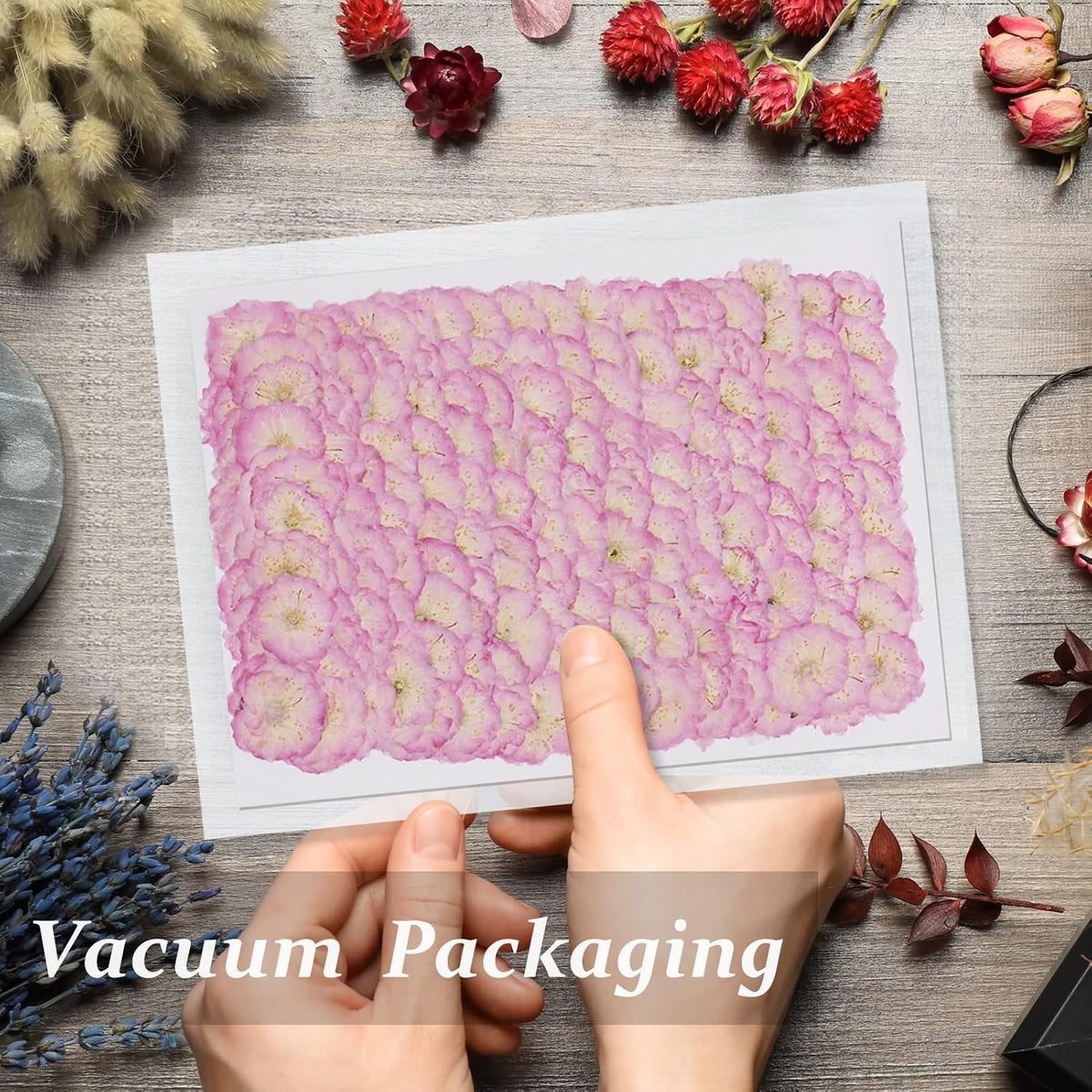 60PCS Pink Dried Pressed Cherry Flowers, Real Natural Dried Pressed Cherry Blossom Flowers, Dry Flowers for Resin DIY Ornament Crafts Candle Making
