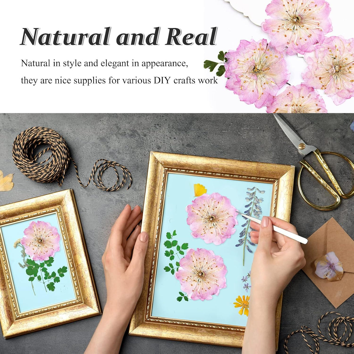 60PCS Pink Dried Pressed Cherry Flowers, Real Natural Dried Pressed Cherry Blossom Flowers, Dry Flowers for Resin DIY Ornament Crafts Candle Making