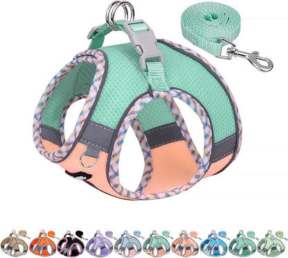 AIITLE Dog Harness Small Sized and Leash Set, Turquoise-Pink XXXS