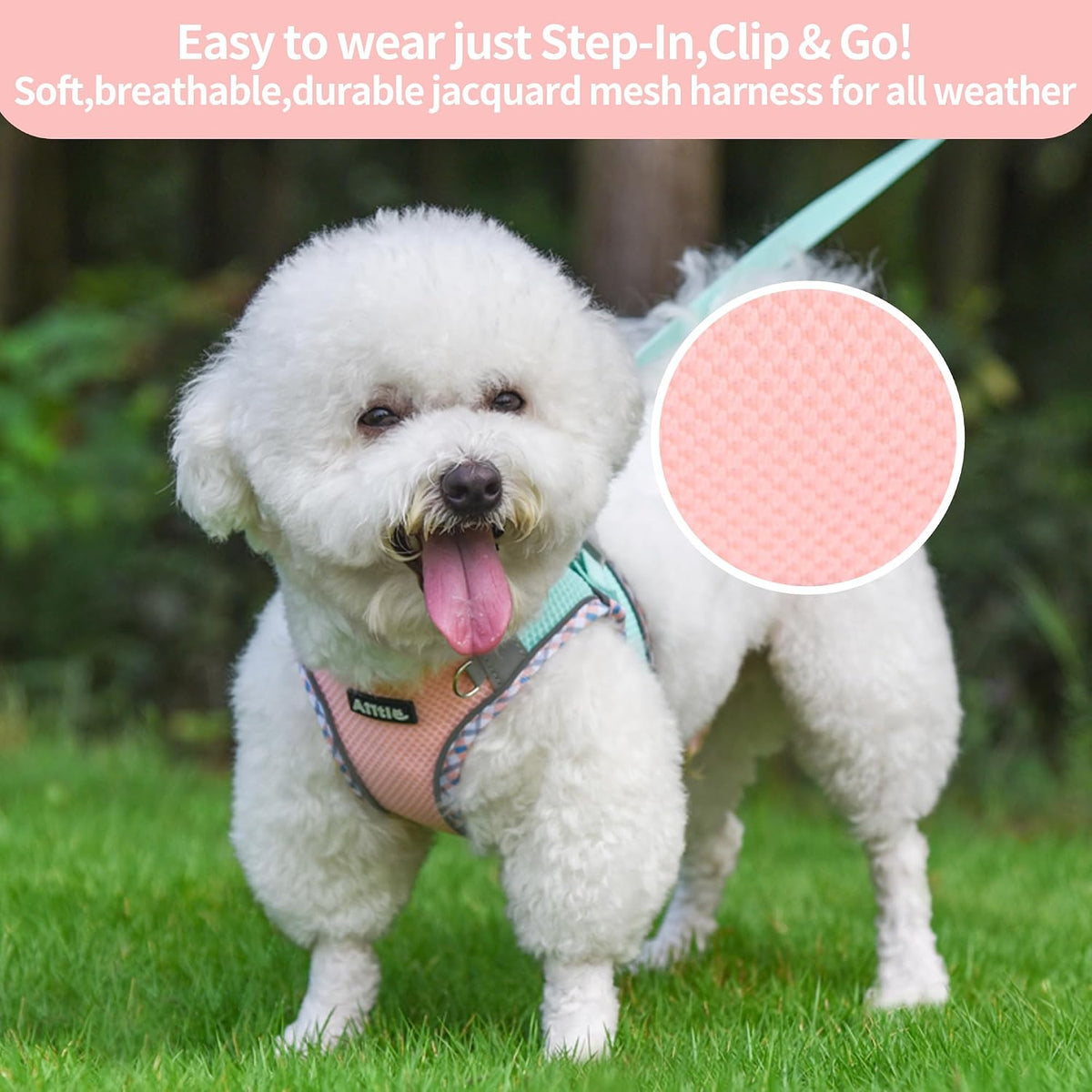 AIITLE Dog Harness Small Sized and Leash Set, Turquoise-Pink XXXS