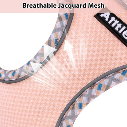 AIITLE Dog Harness Small Sized and Leash Set, Turquoise-Pink XXXS