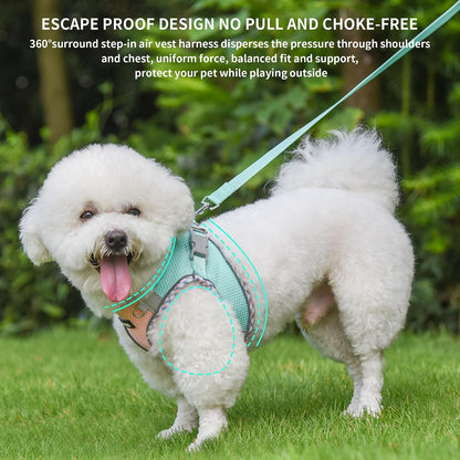 AIITLE Dog Harness Small Sized and Leash Set, Turquoise-Pink XXXS